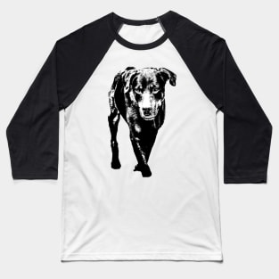 rottweiler Baseball T-Shirt